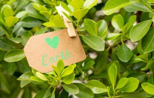 Eco-Friendly-Labels-1.jpg Eco-Friendly-Labels-1.jpg